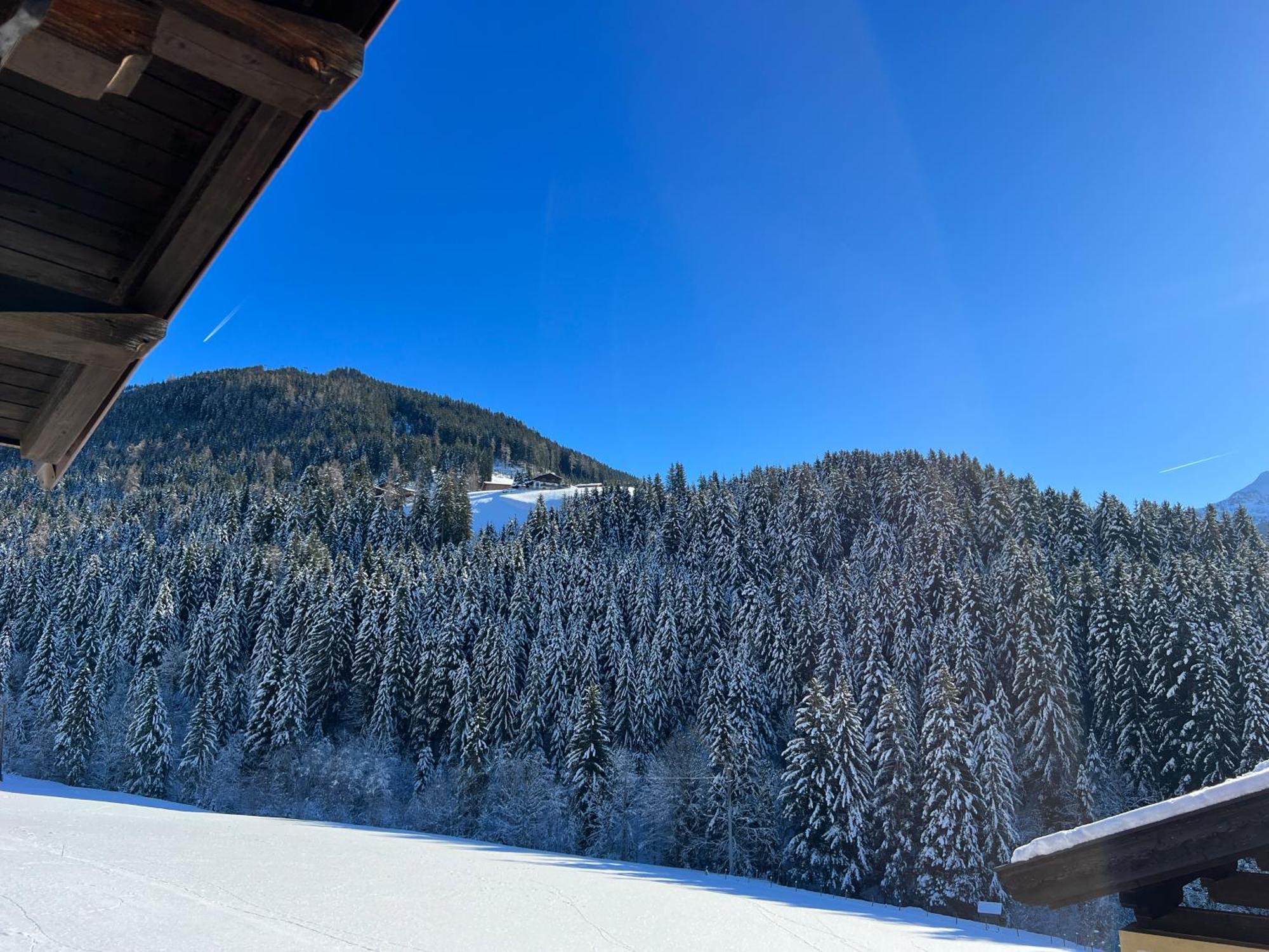 Ferienwohnungen Unterfeld Alpbach Luaran gambar