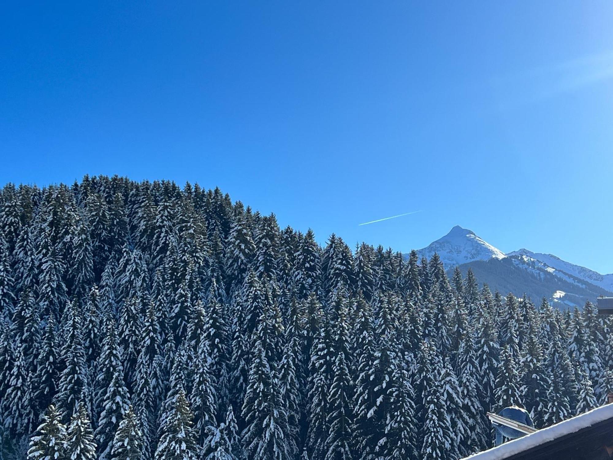 Ferienwohnungen Unterfeld Alpbach Luaran gambar