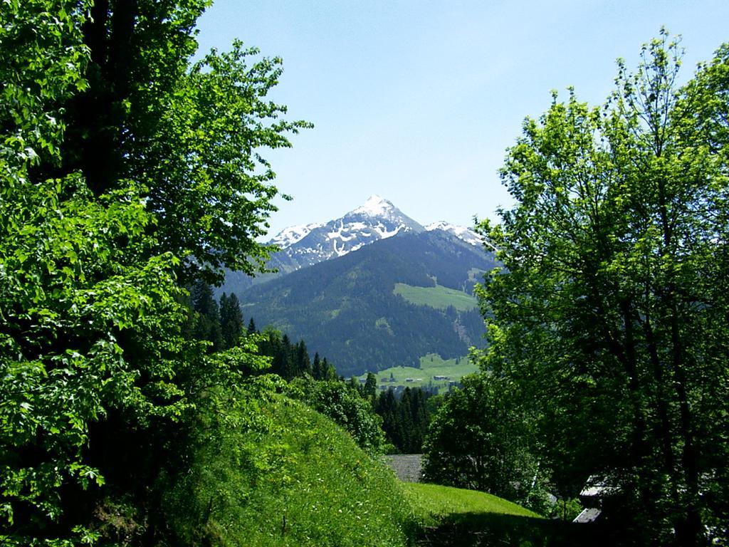 Ferienwohnungen Unterfeld Alpbach Luaran gambar