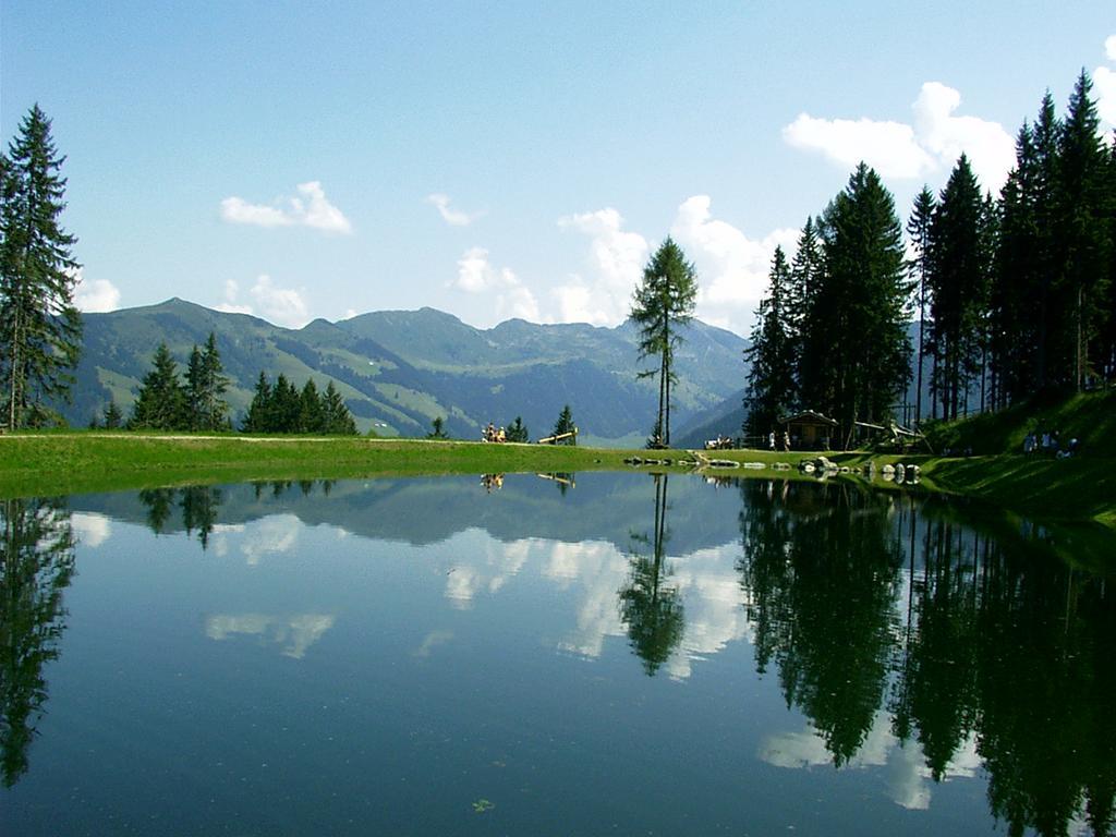 Ferienwohnungen Unterfeld Alpbach Luaran gambar
