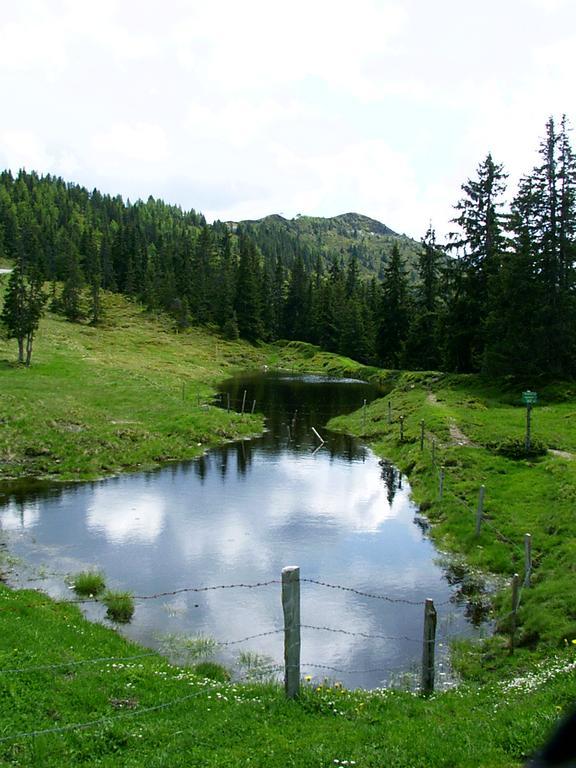 Ferienwohnungen Unterfeld Alpbach Luaran gambar